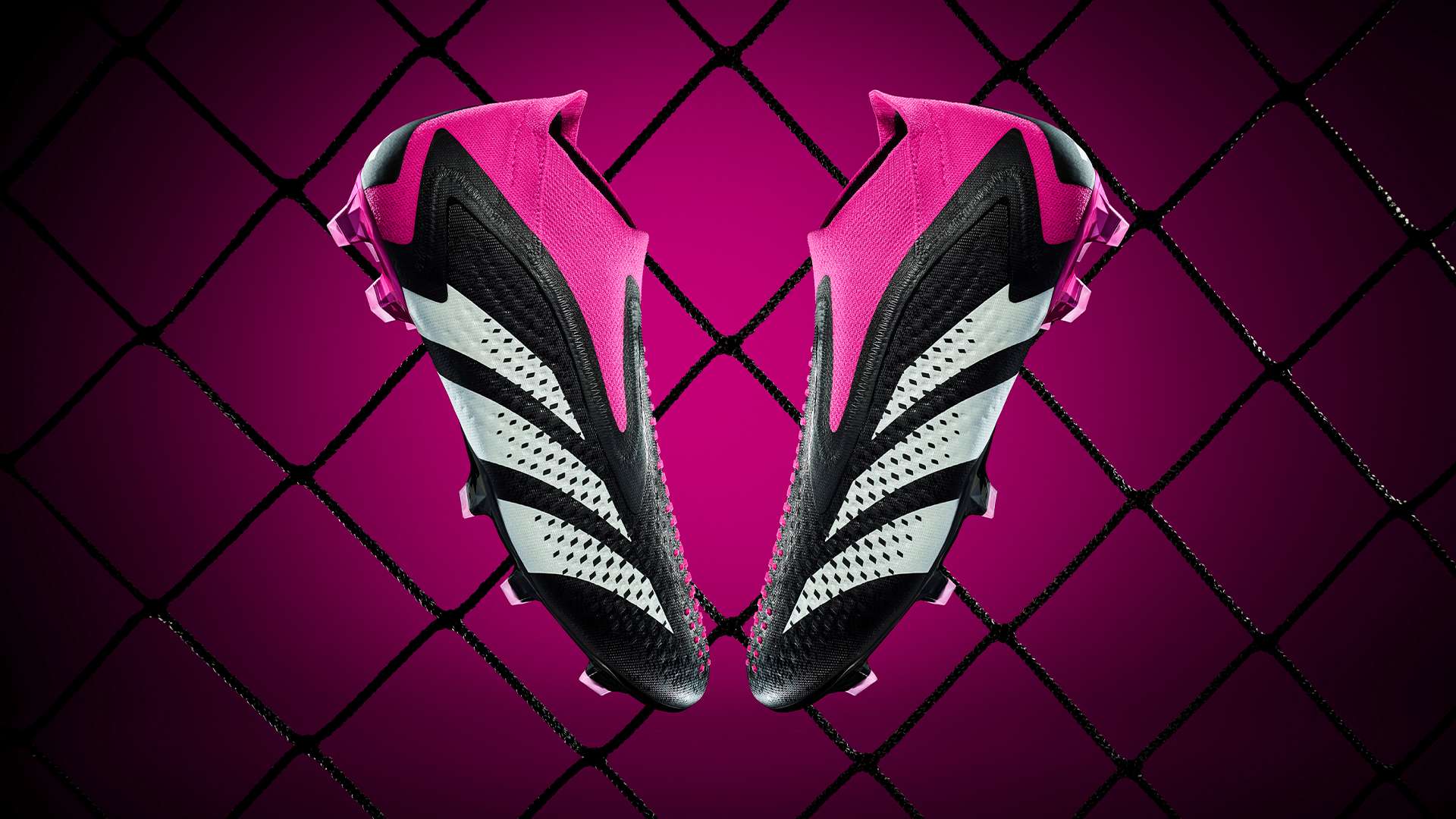 有其独特的 有其独特的